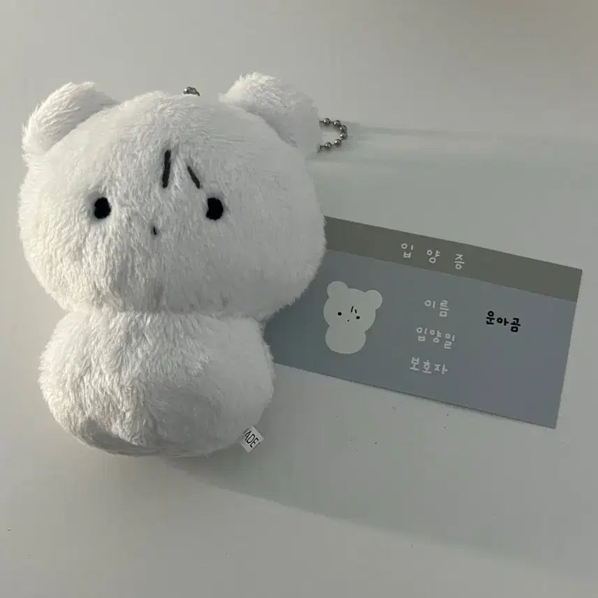 보넥도 운학 운아곰 양도
