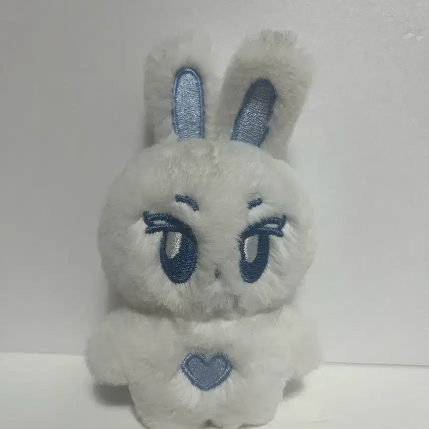 에스파 카리나 카토끼