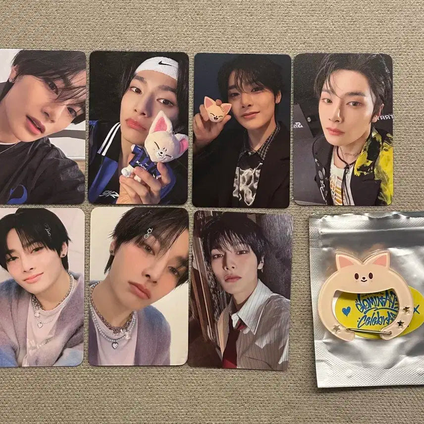 스트레이키즈 스키즈 아이엔 양정인 포카 카라비너 일괄