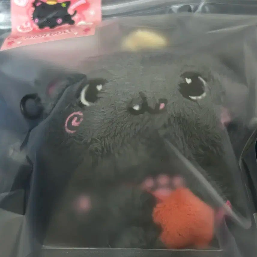 엔시티위시 위시돌 쿠리 미개봉