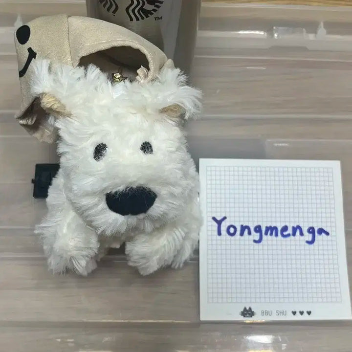 상자 쓴 왕코 강아지 인형 백꾸 키링 양도