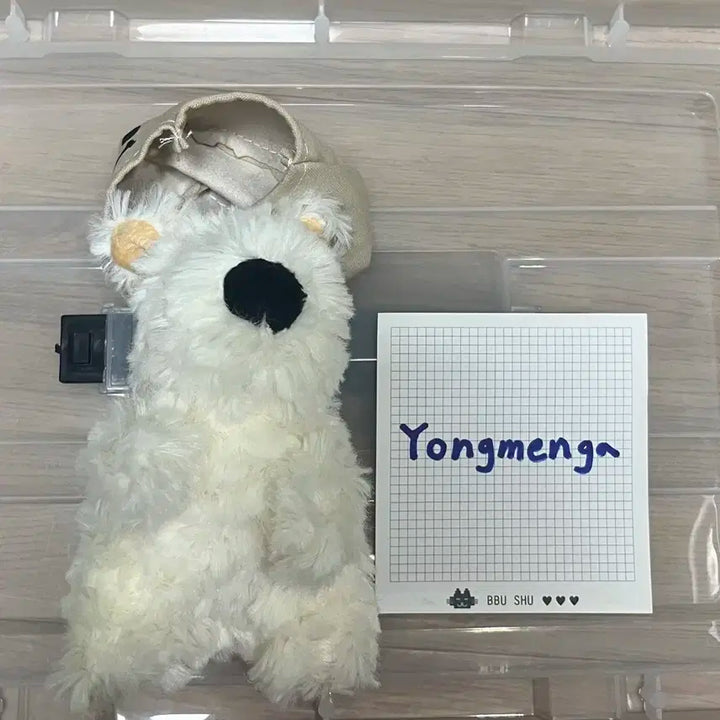 상자 쓴 왕코 강아지 인형 백꾸 키링 양도