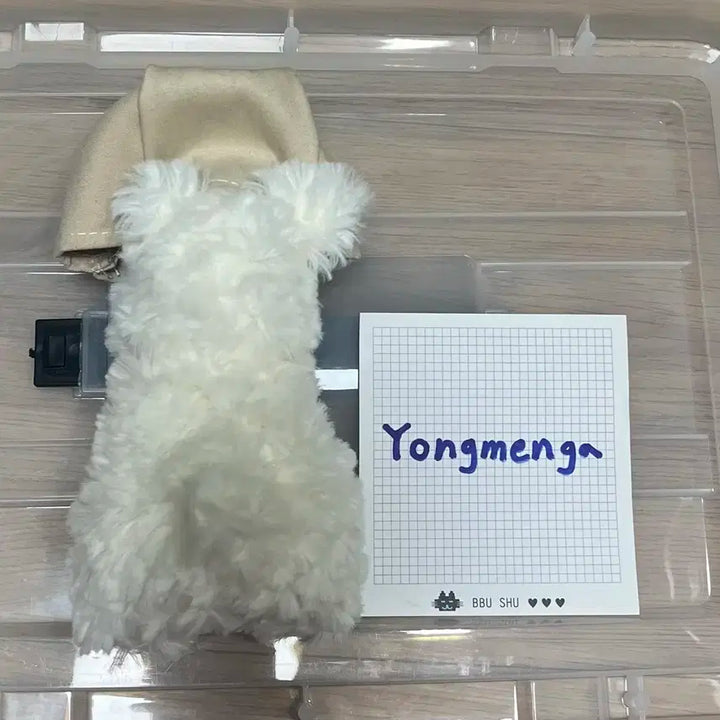 상자 쓴 왕코 강아지 인형 백꾸 키링 양도