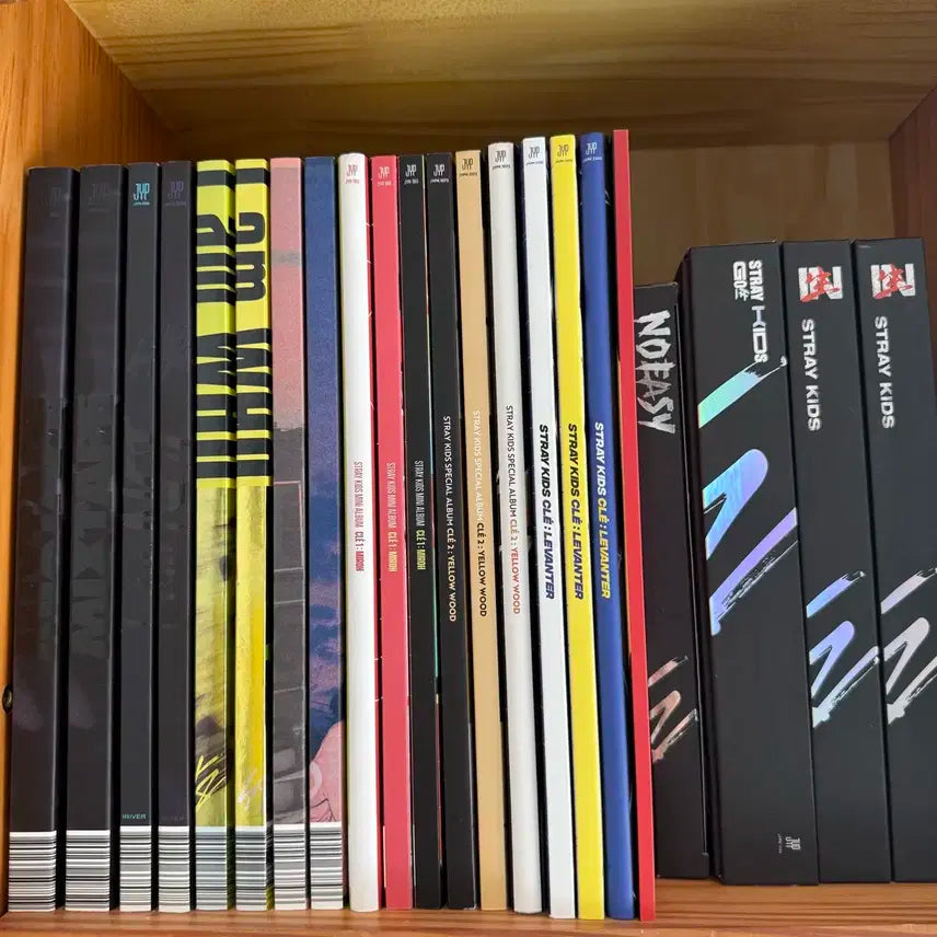 스트레이키즈 스키즈 앨범 처분 믹스테잎 아엠낫 아엠유 미로 부작용 레반터