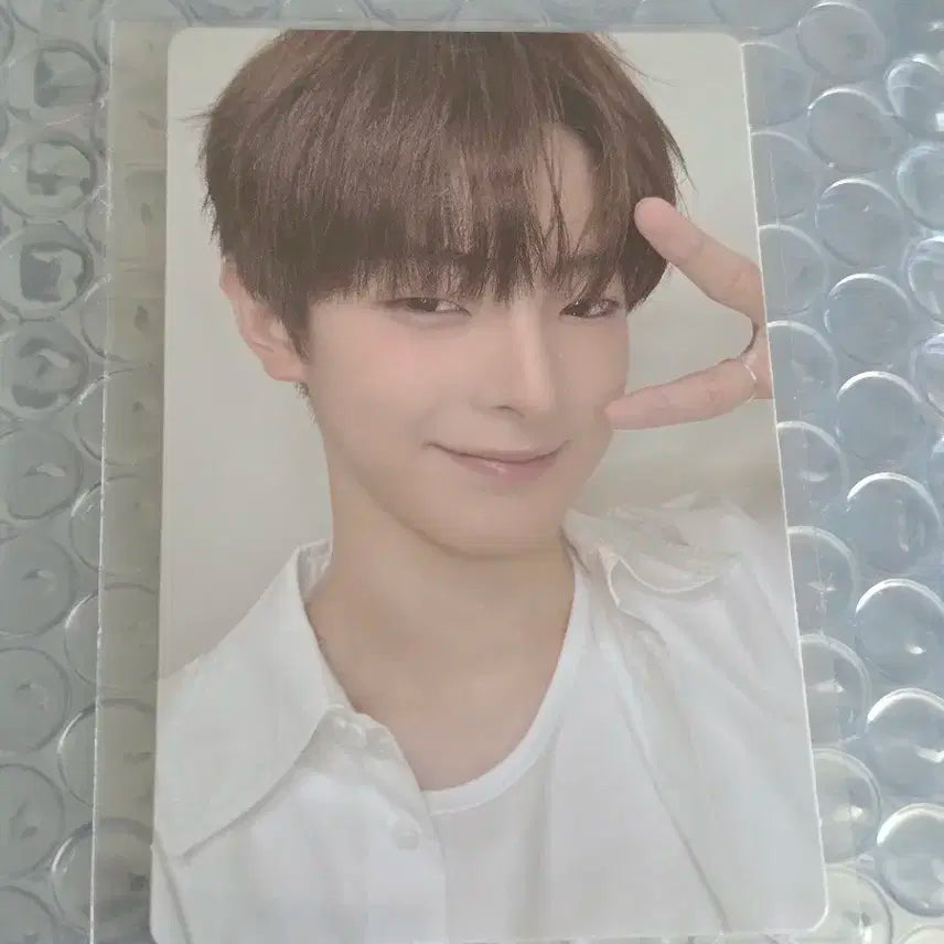 보플 아카이브 전시회 2주차 강우진 8번 포카