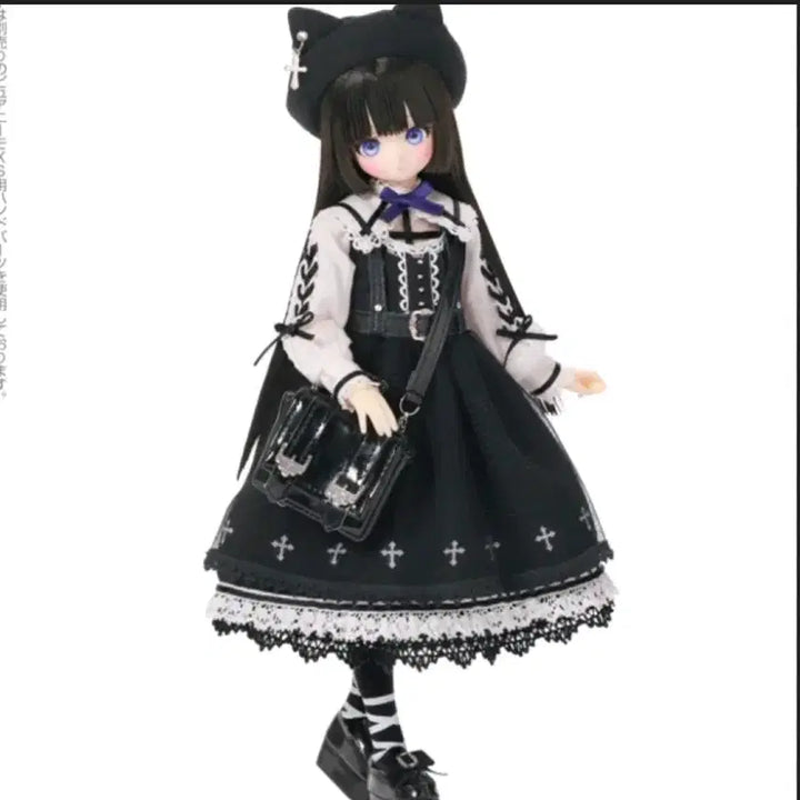 아존돌 루미너스 스트리트 mii(azone shop,azone doll)