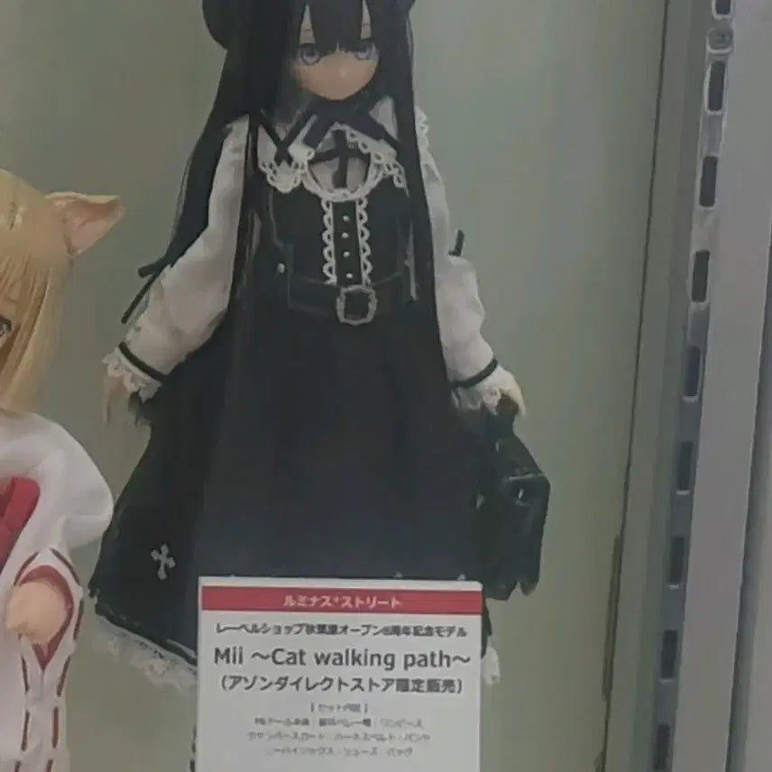 아존돌 루미너스 스트리트 mii(azone shop,azone doll)