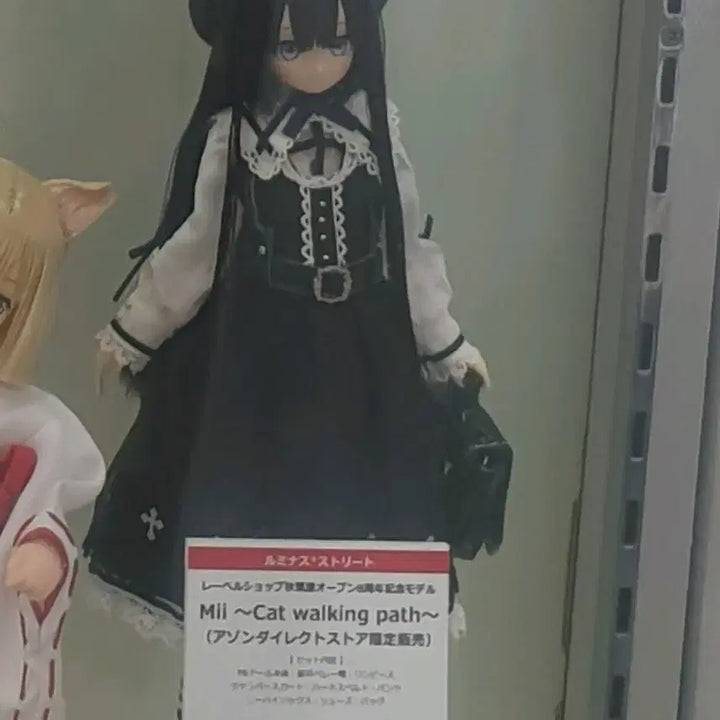 아존돌 루미너스 스트리트 mii(azone shop,azone doll)