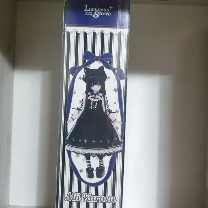 아존돌 루미너스 스트리트 mii(azone shop,azone doll)