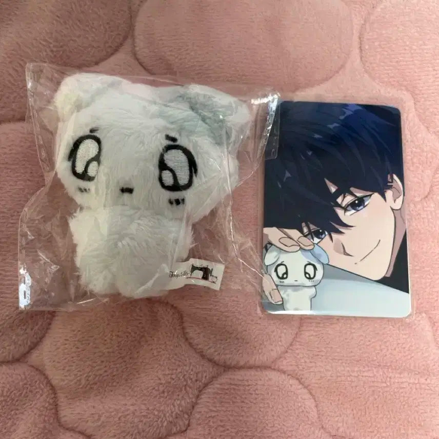 플레이브 예준 인형 플부땅 쭈니땅 양도