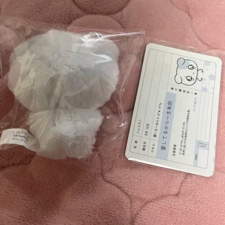 플레이브 예준 인형 플부땅 쭈니땅 양도