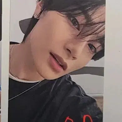 스키즈앙콘 스키즈막콘 스테이존 아이엔 양도 I.n