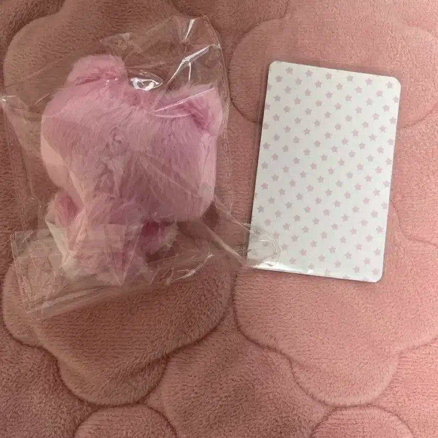 플레이브 밤비 인형 바무땅 양도