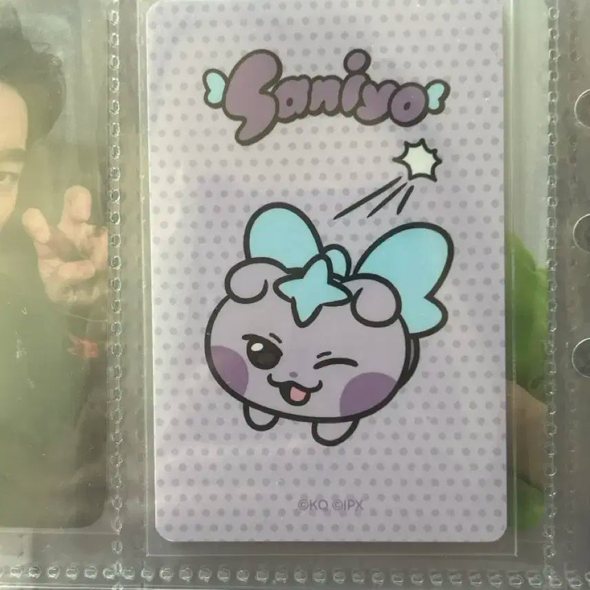 마이티즈 사니요 최산 보뚱이 포카