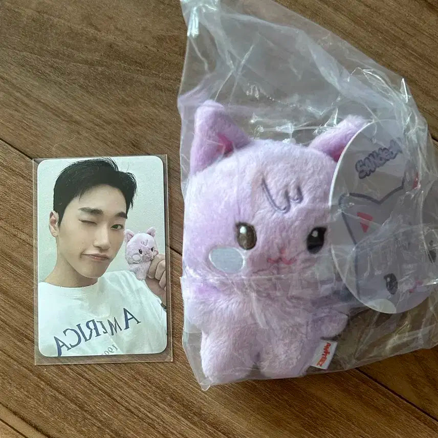 타이니 애니티즈 산덕이 최산 (포카포함)