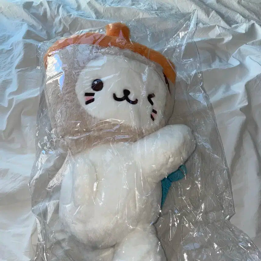 버블냥 가방 미개봉 포카포함