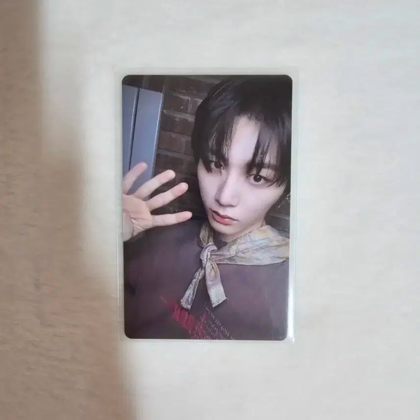 보넥도 보이라이프 BOYLIFE 위버스 특전 태산 포카