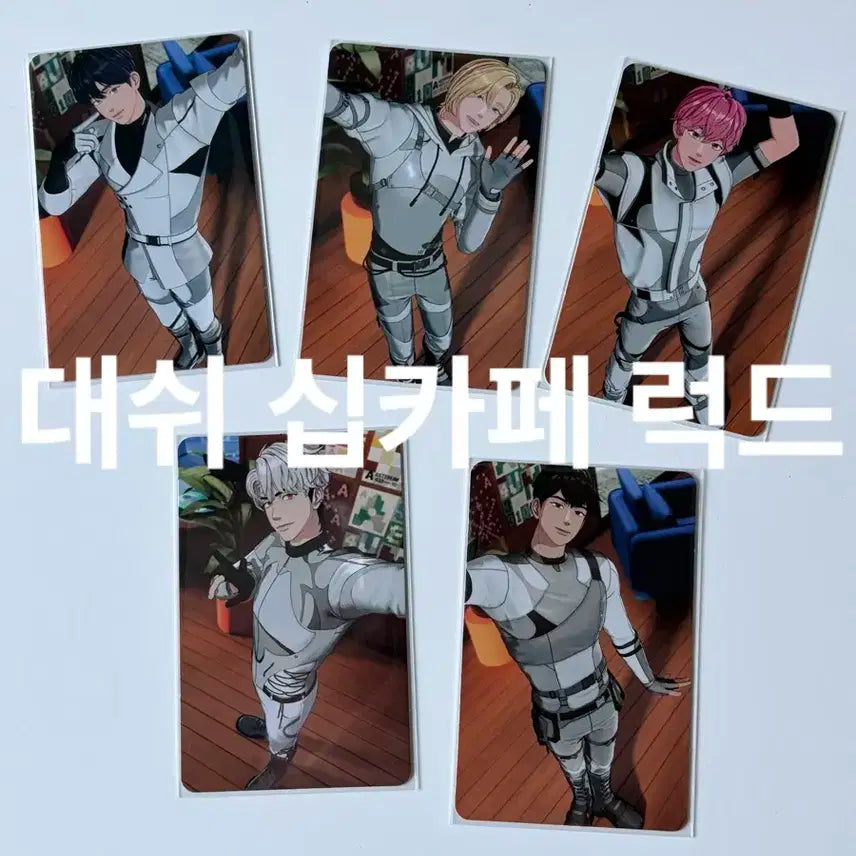 플레이브 십카페 대쉬럭드 5장 일괄 판매