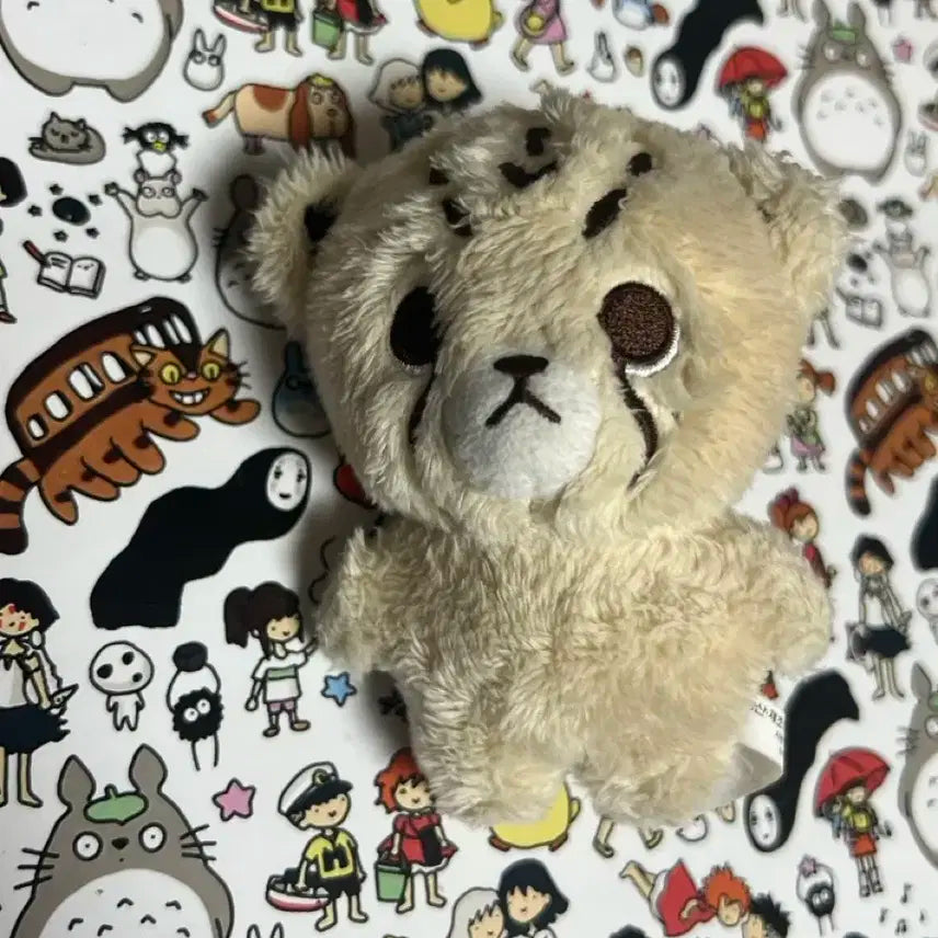 치타리 양도합니다