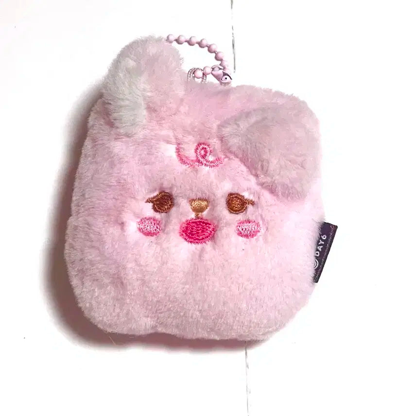 데이식스 증사 홀더 필