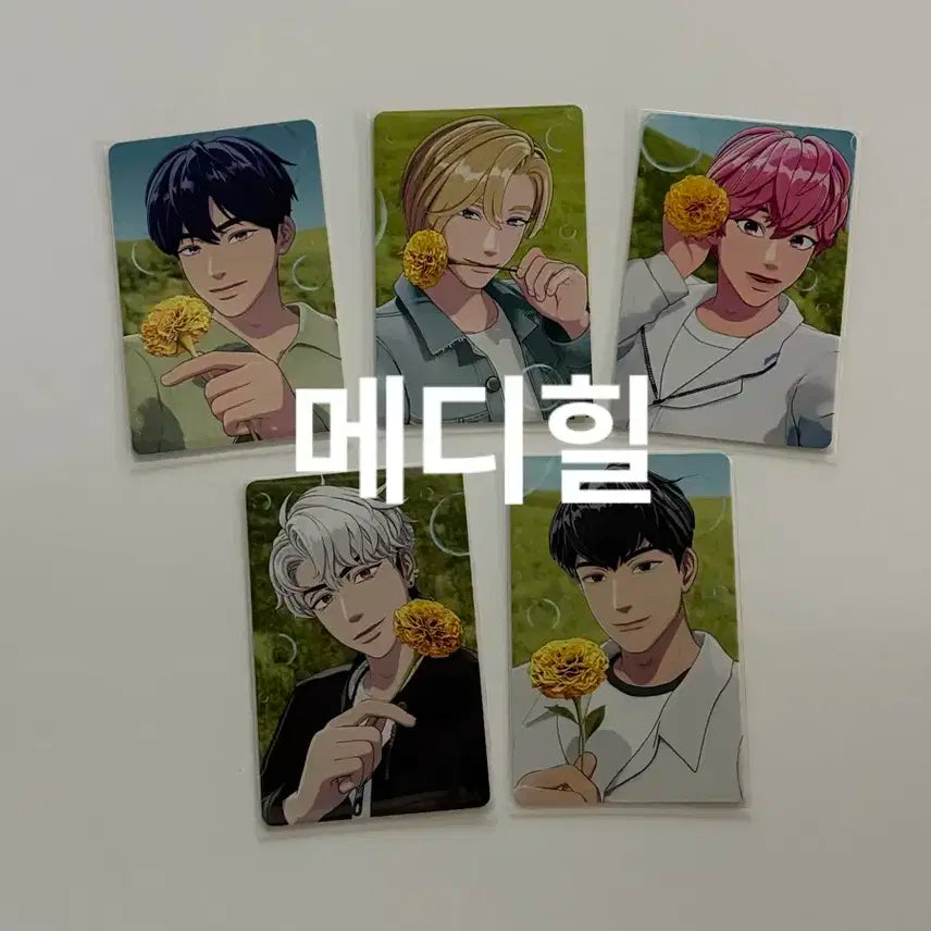 플레이브 메디힐 포카 5장 일괄