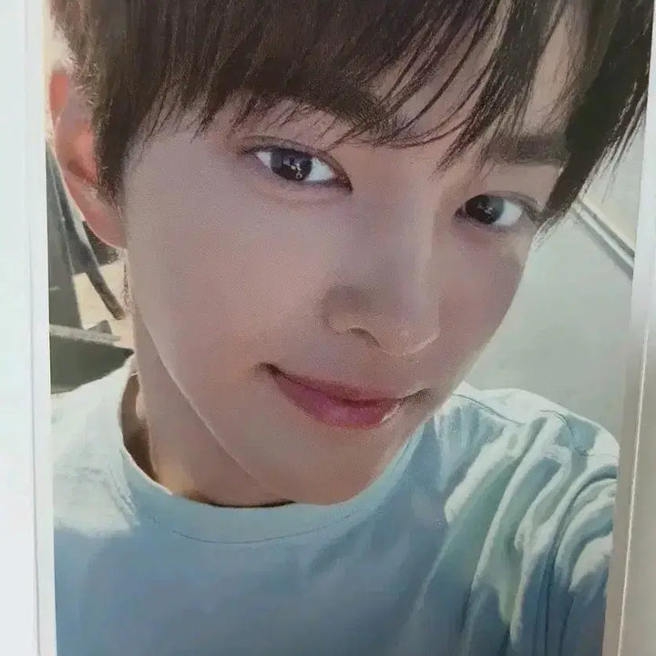 코르티스 포카 일괄 판매(사웨 럭드  건호,성현 앨포 주훈,마틴)