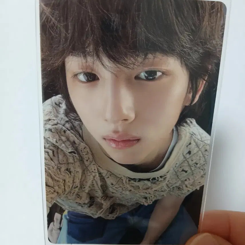 코르티스 포카 일괄 판매(사웨 럭드  건호,성현 앨포 주훈,마틴)