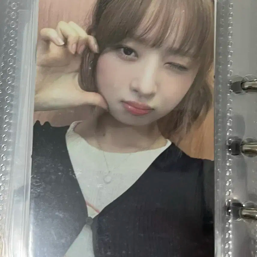 아이브 레이 비트로드 포카