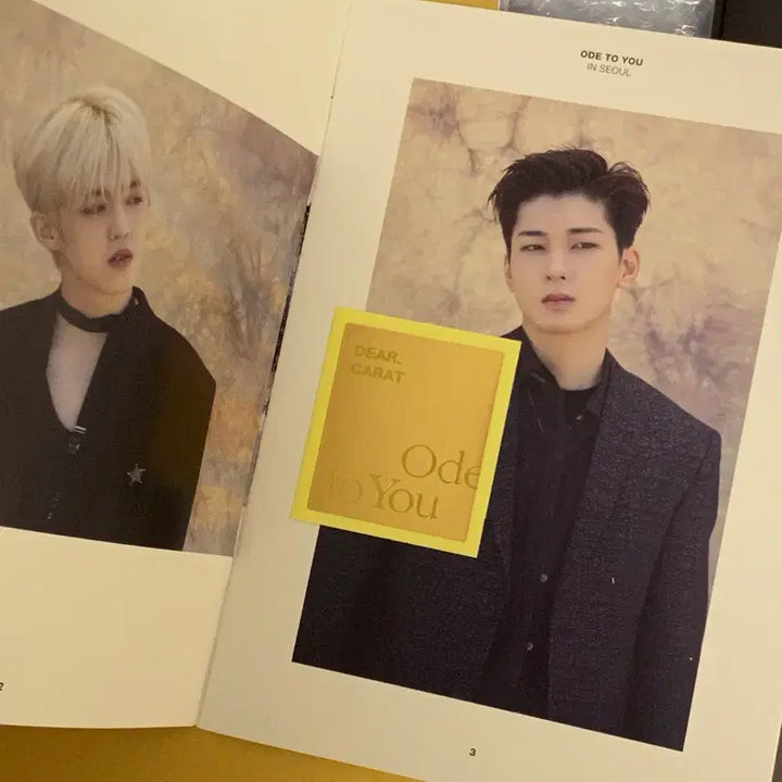 [일괄] 세븐틴 17~19년도 콘서트 DVD +빨간우체통 빨체통 엽서