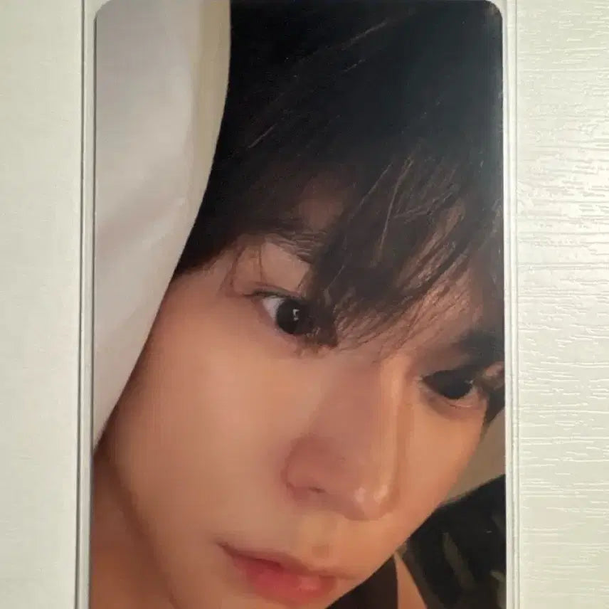 라이즈 은석 침대 포카