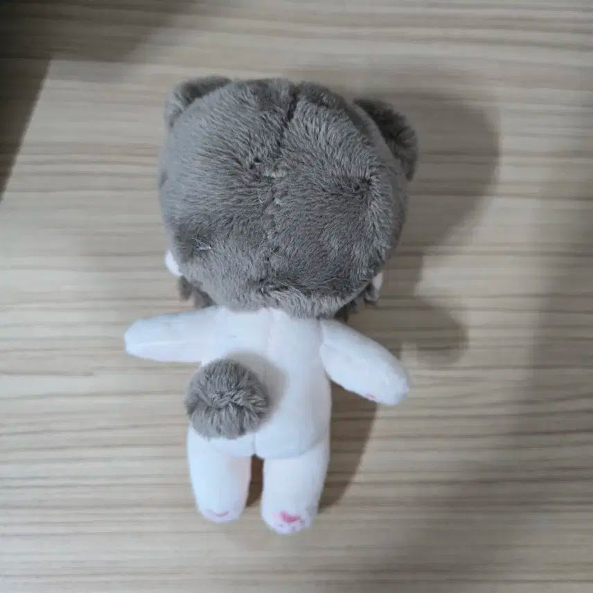 [개봉 후 보관] 투바투 범규 코코아뀨 인형 10cm 양도