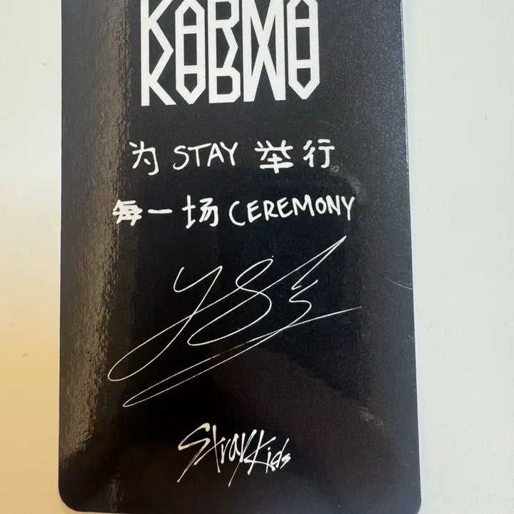 스트레이키즈 스키즈 karma 스타리버 필릭스