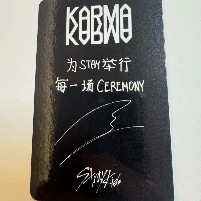 스트레이키즈 스키즈 karma 스타리버 한