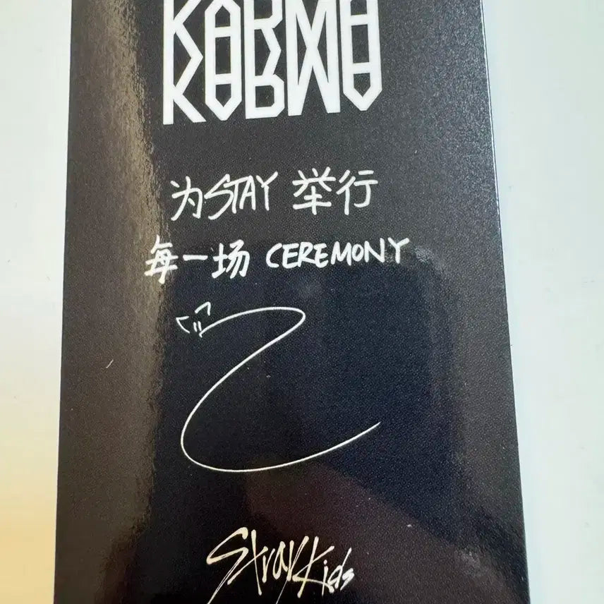 스트레이키즈 스키즈 karma 스타리버 아이엔