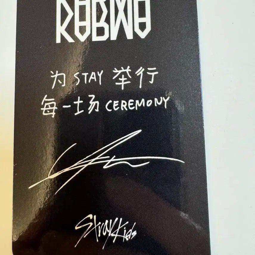 스트레이키즈 스키즈 karma 스타리버 리노