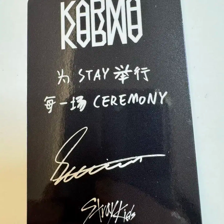 스트레이키즈 스키즈 karma 스타리버 승민