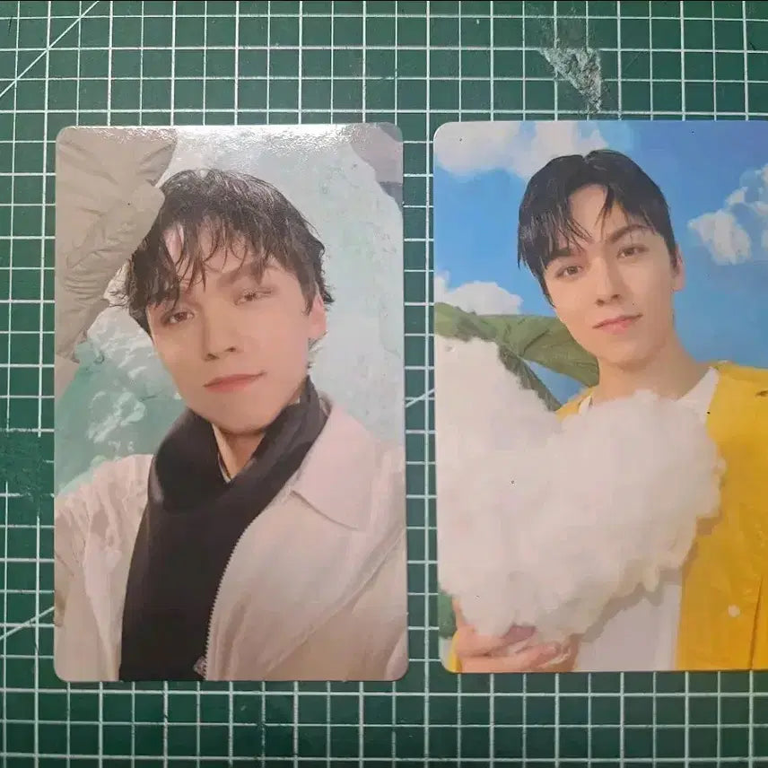 세븐틴 버논포카