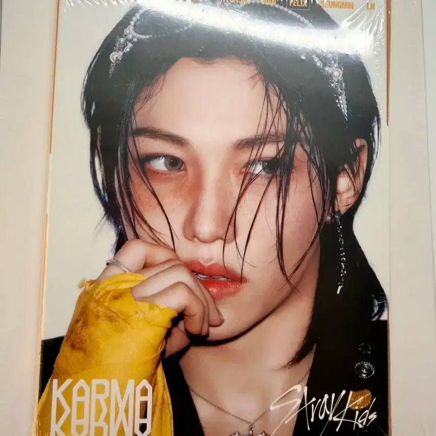 스키즈 카르마 아코디언 미개봉 앨범 필릭스