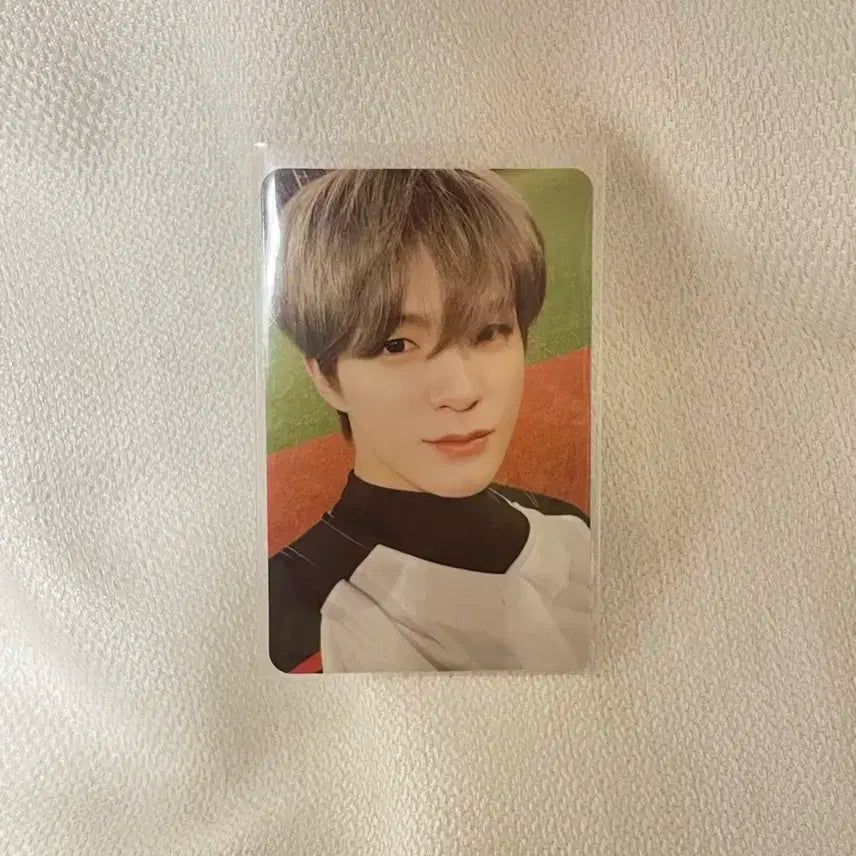 엔시티 드림 제노 포카 양도