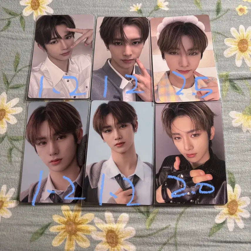 보플2 상하이 전시회 팝업 조우안신 2주차 포카 양도