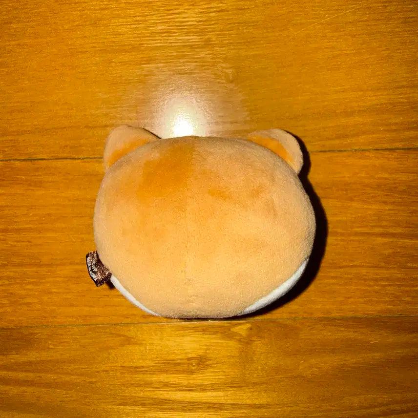 데이식스 영케이 데니멀즈 케 케둥이 스트레스볼 양도