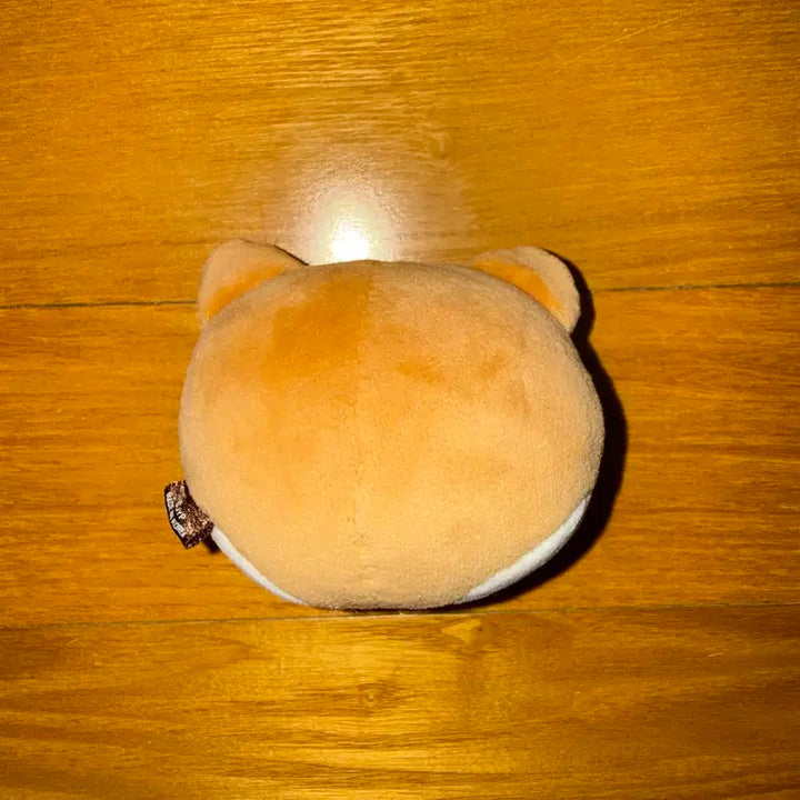 데이식스 영케이 데니멀즈 케 케둥이 스트레스볼 양도