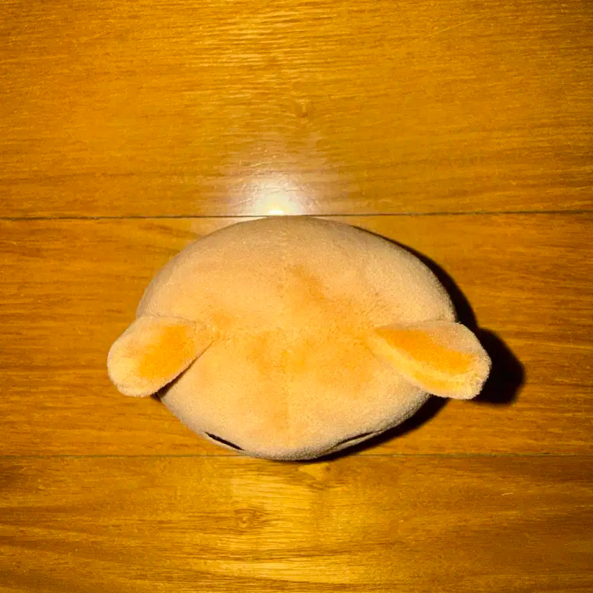 데이식스 영케이 데니멀즈 케 케둥이 스트레스볼 양도