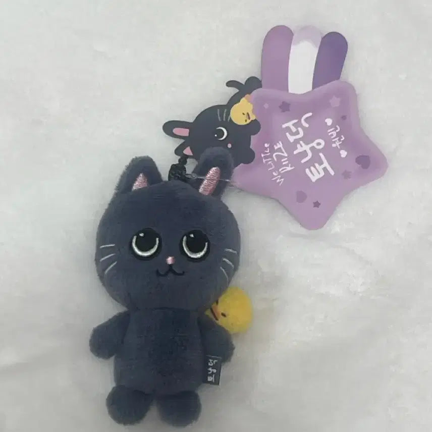 라이즈 원빈 토냥덕 8cm 키링