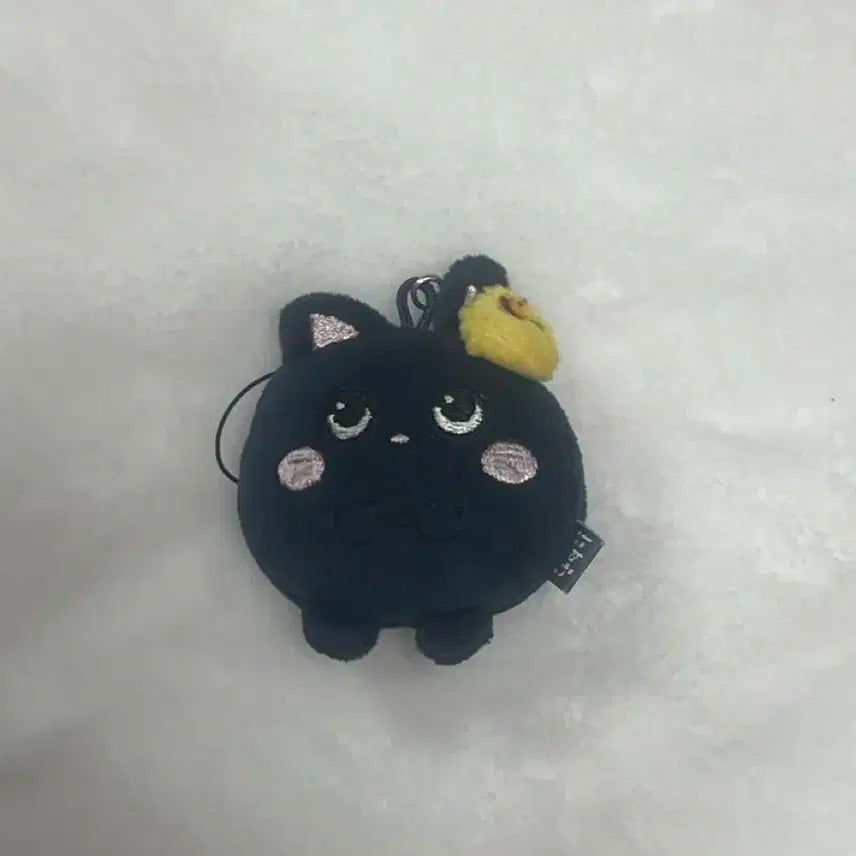 라이즈 원빈 토냥덕 미니돌 7cm