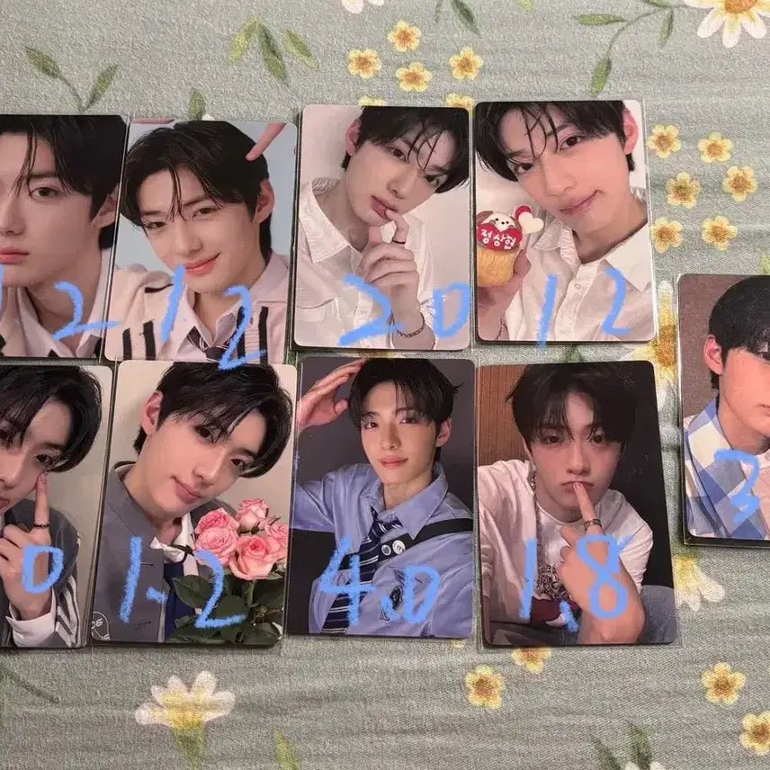 보이즈플래닛 상하이 전시회 팝업 정상현 2주차 포카 양도