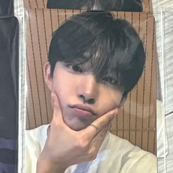 알디원 김건우 아궁빵 포토카드 양도 알파드라이브원 보플 보이즈플래닛 분철