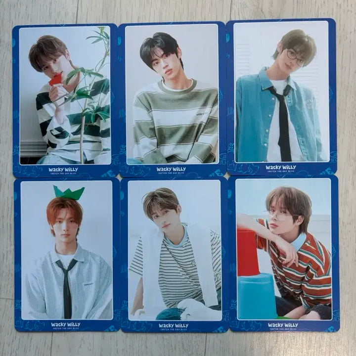 투어스 와키윌리 포토카드