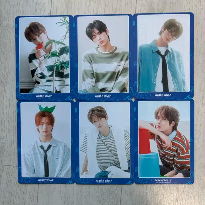 투어스 와키윌리 포토카드