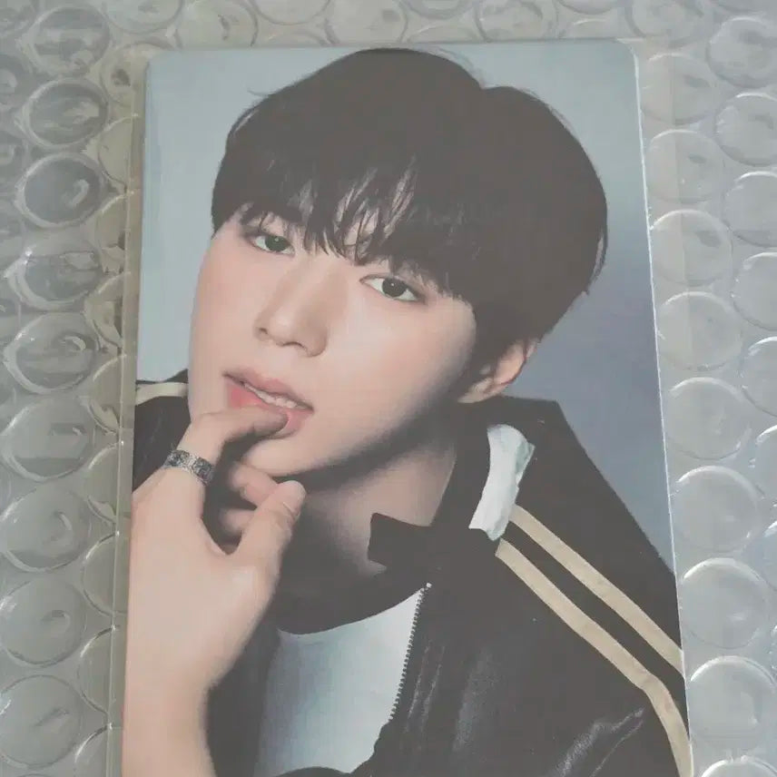 보플 아카이브 전시회 2주차 김준서 9번 포카